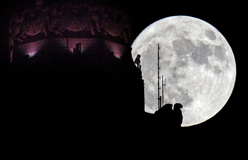 超級滿月(supermoon)(AP) 超級滿月(supermoon)(AP)
