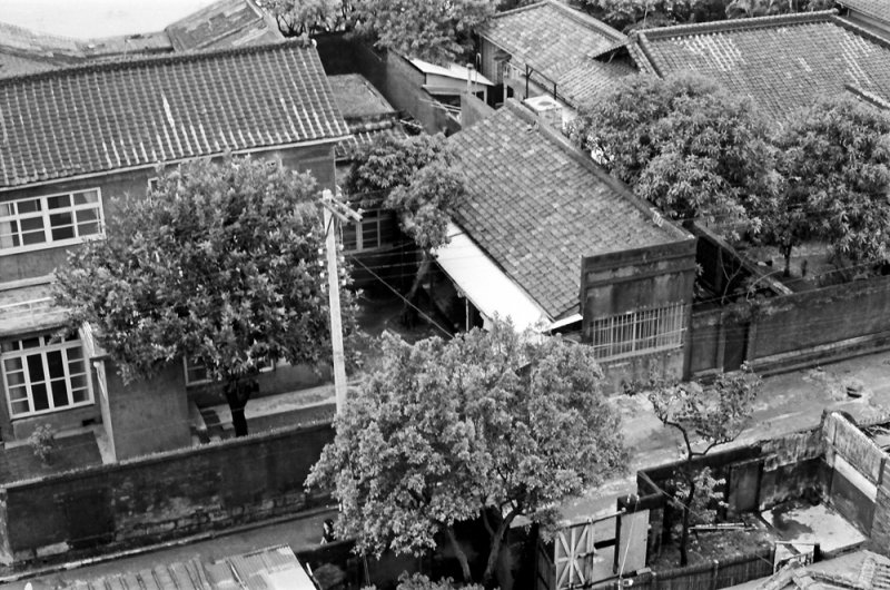 C-069.jpg(圖/徐宗懋圖文館提供) C-069.jpg(圖/徐宗懋圖文館提供)