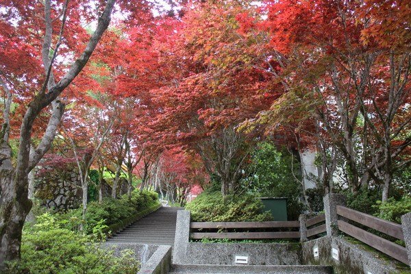 宜蘭太平山森林遊樂區。（圖/Funtime提供）