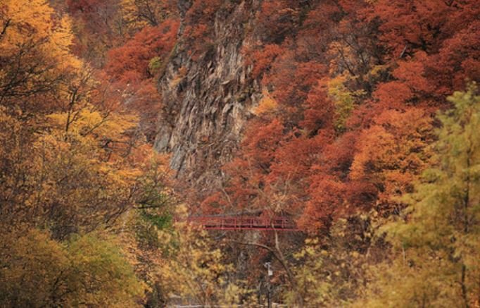 台東紅葉村。(圖/Funtime提供) 台東紅葉村。(圖/Funtime提供)