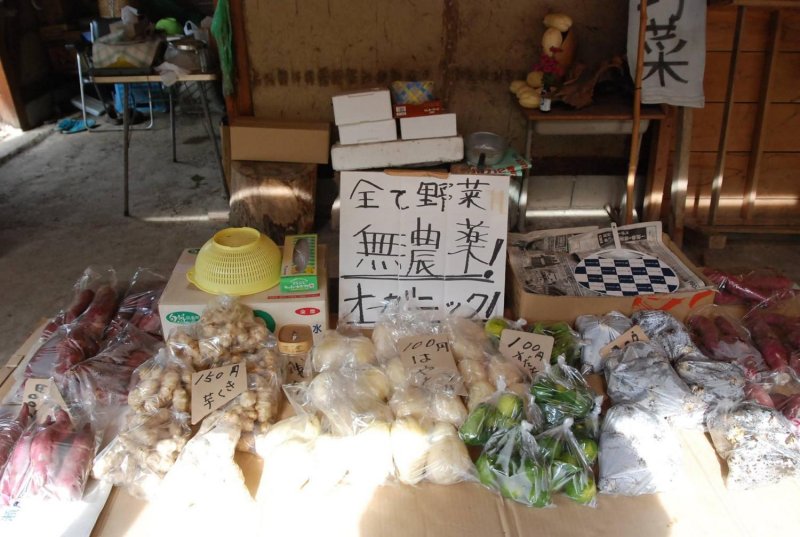 (圖/MATCHA提供) (圖/MATCHA提供)
