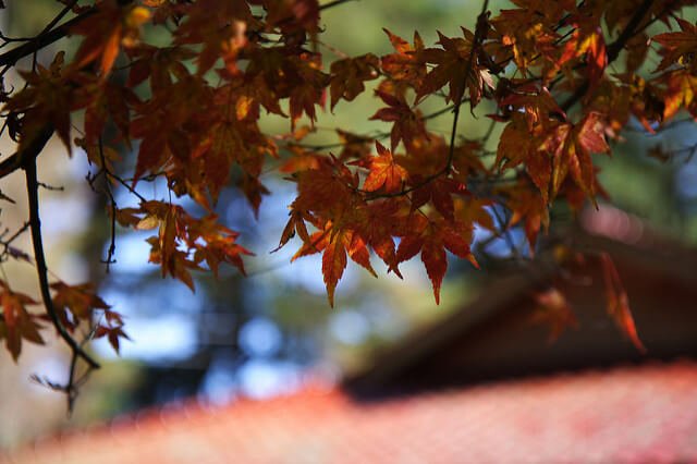 (圖/David Hsu@Flickr,HotelsCombined提供) (圖/David Hsu@Flickr,HotelsCombined提供)