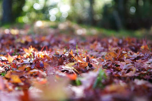 (圖/David Hsu@Flickr,HotelsCombined提供) (圖/David Hsu@Flickr,HotelsCombined提供)