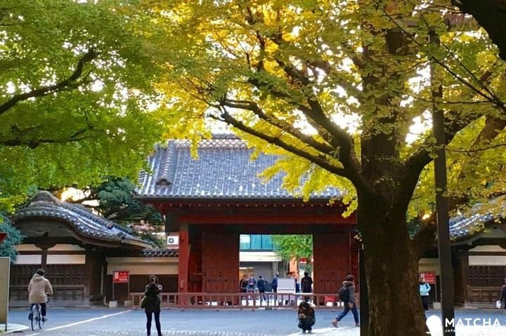 (圖/MATCHA提供) (圖/MATCHA提供)