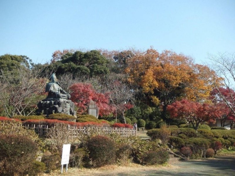 (圖/MATCHA提供) (圖/MATCHA提供)