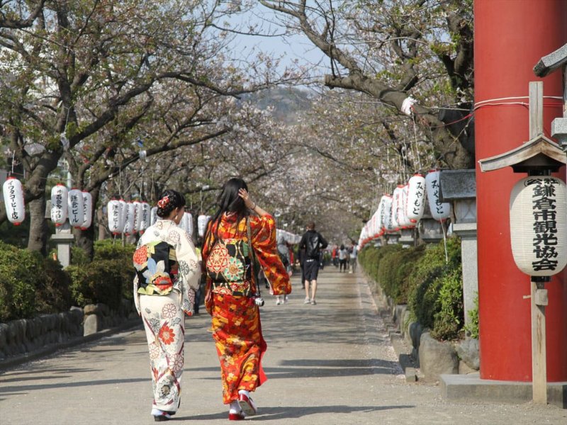 (圖/MATCHA提供) (圖/MATCHA提供)