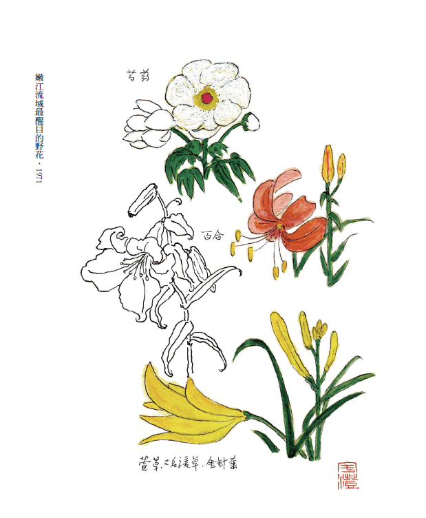書中的內頁插畫。(東美出版社提供) 書中的內頁插畫。(東美出版社提供)
