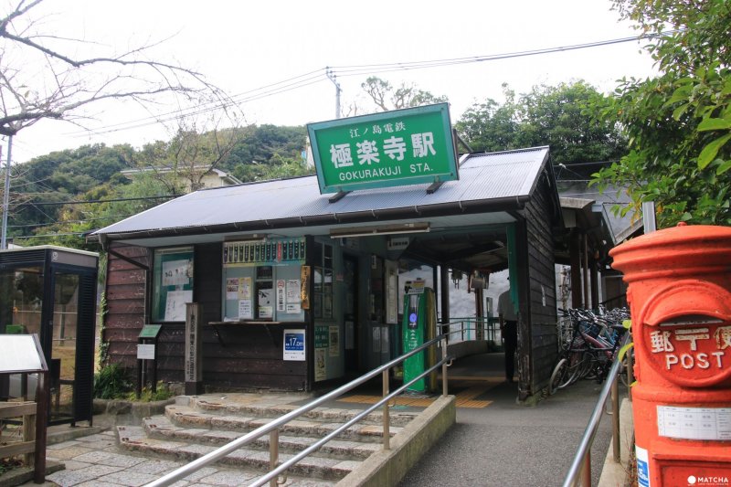 (圖/MATCHA提供) (圖/MATCHA提供)