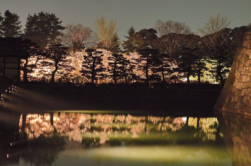 (圖/Kyoto-Picture@Flickr) (圖/Kyoto-Picture@Flickr)