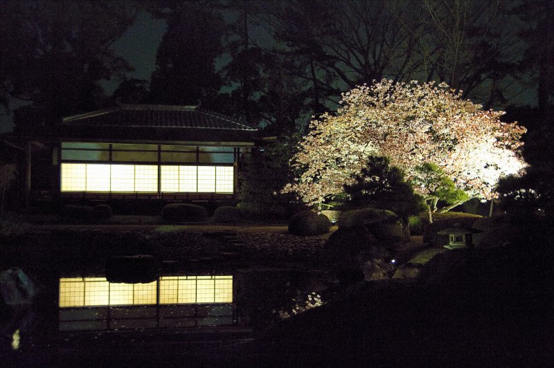 (圖/Kyoto-Picture@Flickr) (圖/Kyoto-Picture@Flickr)