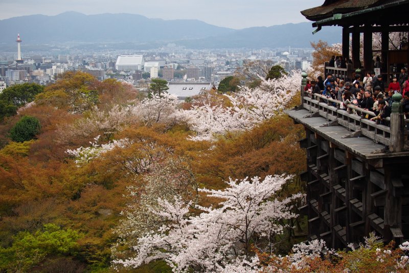 (圖/othree@Flickr) (圖/othree@Flickr)