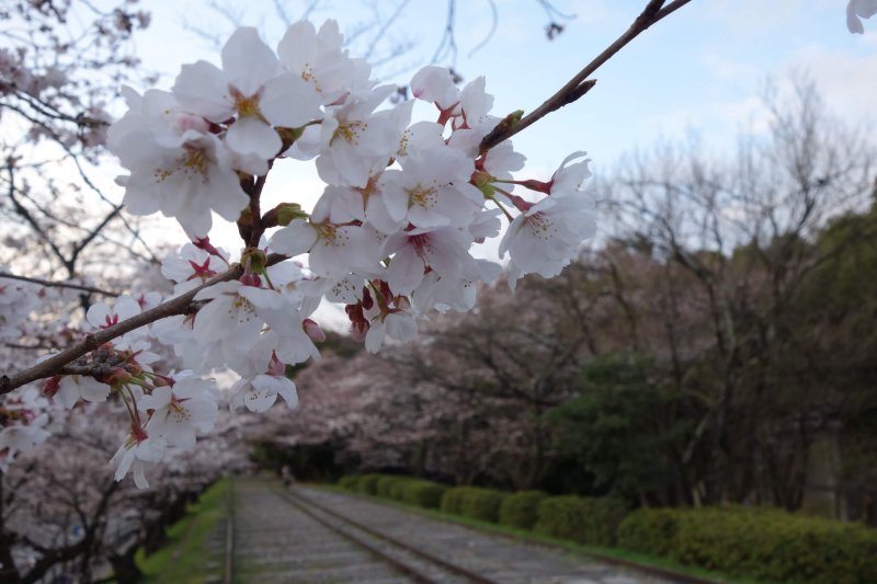 (圖/Richard, enjoy my life!@Flickr) (圖/Richard, enjoy my life!@Flickr)