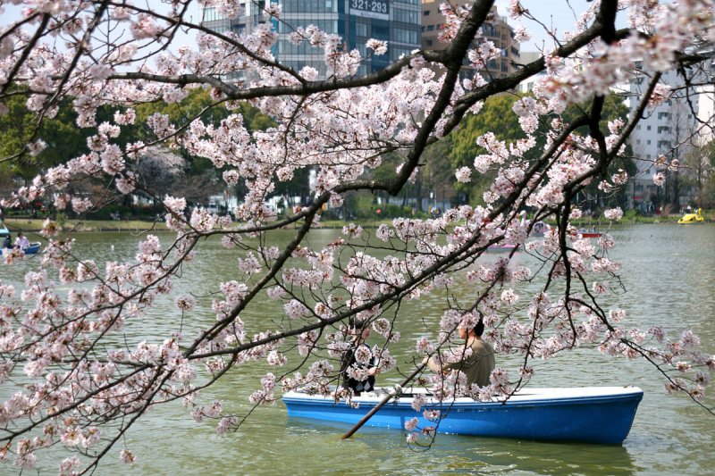 (圖/Kabacchi@Flickr) (圖/Kabacchi@Flickr)