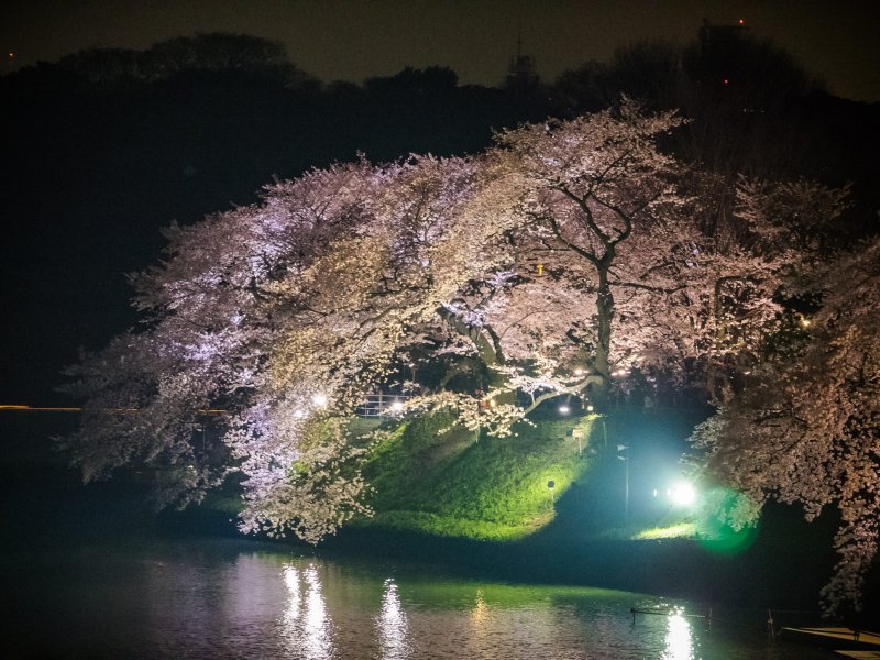 (圖/中岑 范姜@Flickr) (圖/中岑 范姜@Flickr)