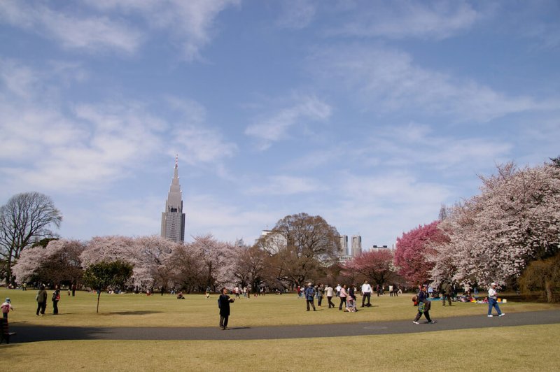 (圖/Shinji@Flickr) (圖/Shinji@Flickr)