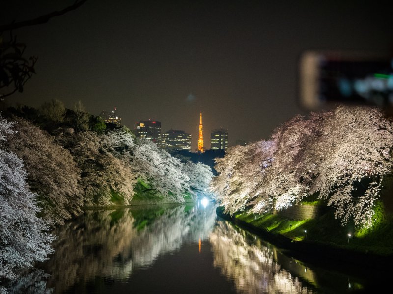 (圖/中岑 范姜@Flickr) (圖/中岑 范姜@Flickr)