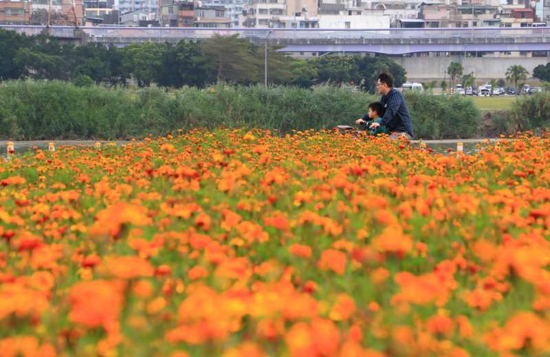 馬場町紀念公園（北市府）