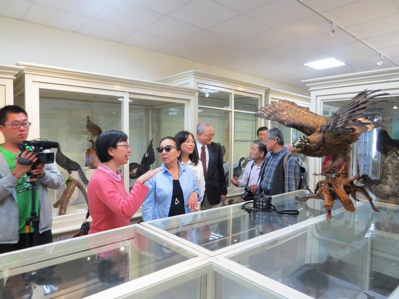 嘉義縣自然史教育館內容豐富非常值得一看。（圖／謝敏政攝）