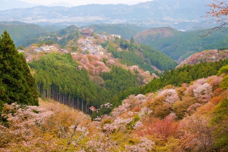 (圖/FAST JAPAN提供) (圖/FAST JAPAN提供)
