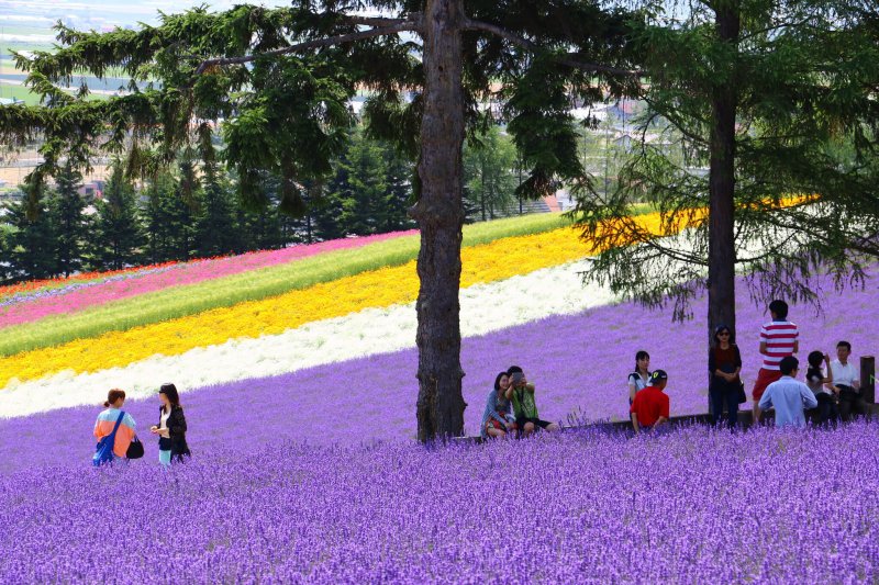 (圖/Kana@Flickr,HotelsCombined提供) (圖/Kana@Flickr,HotelsCombined提供)