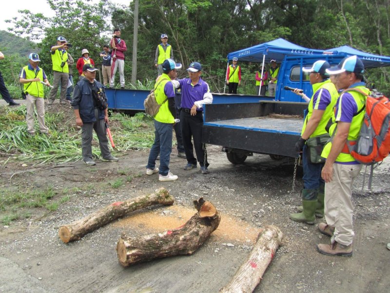 自由撿拾漂流木須經公告，貴重木樹種加強管理，任意撿拾小心觸法。（圖／嘉義林管處提供）