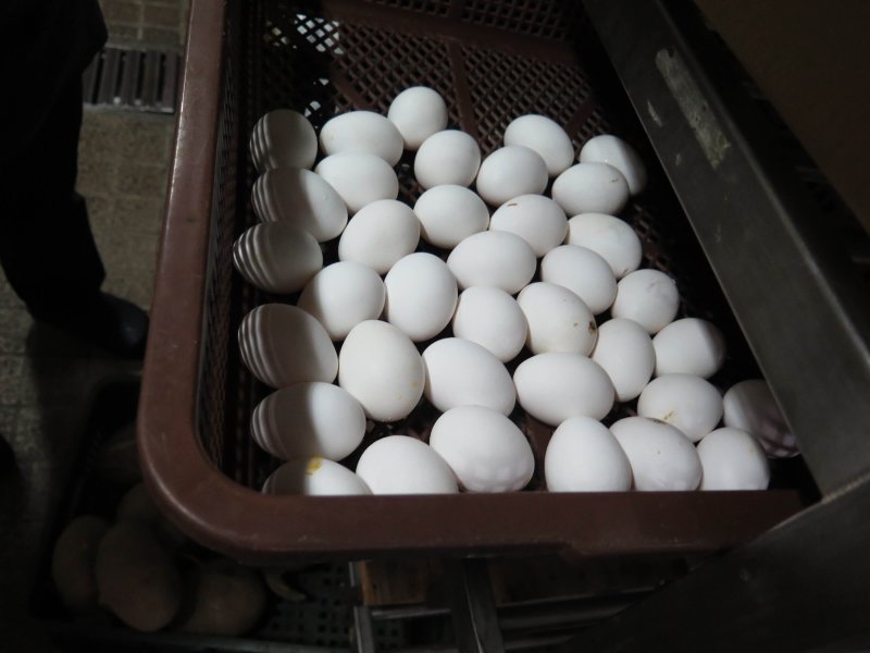 蛋行蛋品來源稽查照。（圖／高雄市衛生局提供）