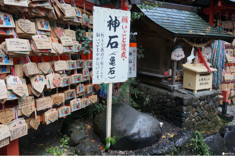 (圖/MATCHA提供) (圖/MATCHA提供)