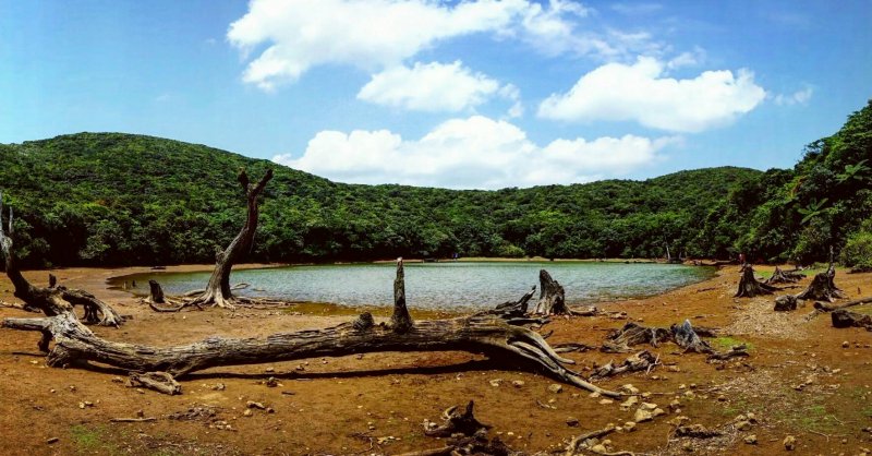 大天池山路雖不好爬，但能一睹如此特殊的景觀仍吸引不少遊客前往。（圖／俞嘉琦　拍攝）