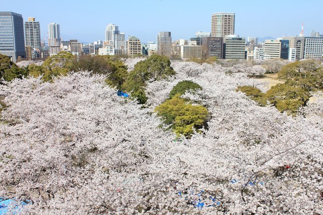 （圖/fotolia，KKday提供）