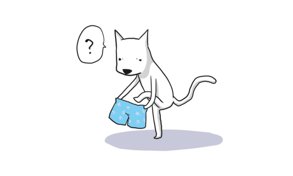 (圖/究竟出版提供) (圖/究竟出版提供)