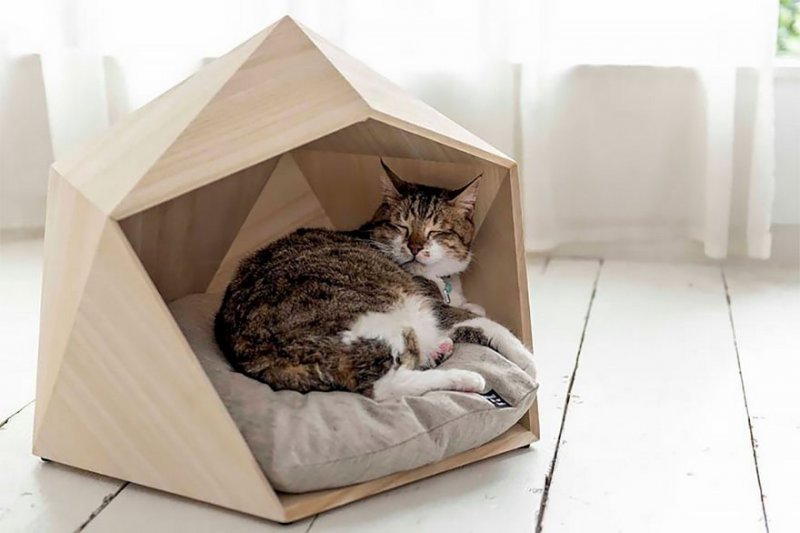 geometric-pet-beds-natural-slow-7.jpg