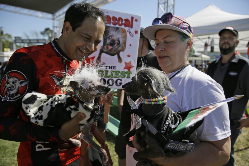 2017年「全球最醜狗狗」(World's Ugliest Dog)大賽參賽狗(AP) 2017年「全球最醜狗狗」(World's Ugliest Dog)大賽參賽狗(AP)