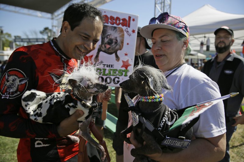 2017年「全球最醜狗狗」（World's Ugliest Dog）大賽參賽狗（AP）