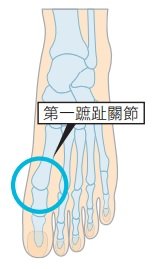 （圖/三采文化提供）