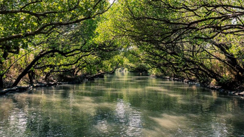 （圖/高志瑋@facebook）