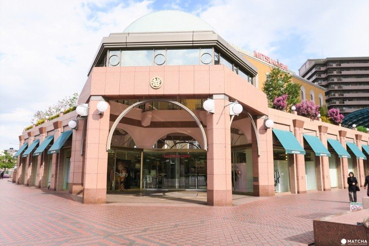 (圖/MATCHA提供) (圖/MATCHA提供)