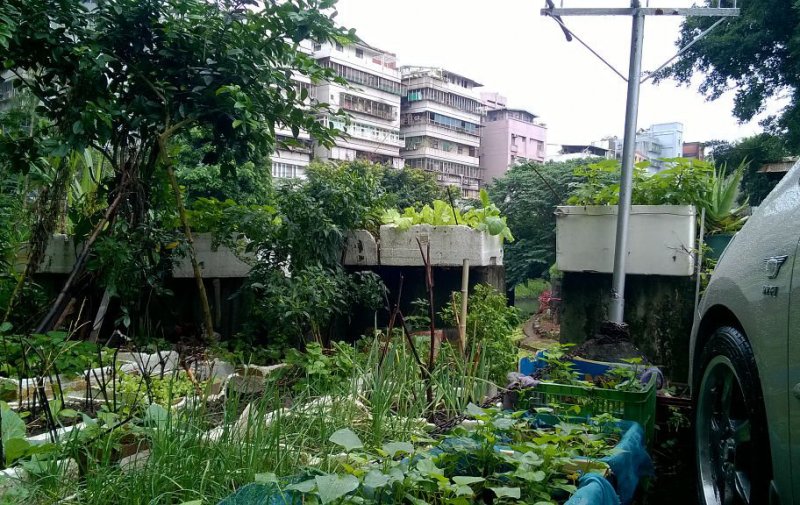 (圖/台北城市散步提供) (圖/台北城市散步提供)