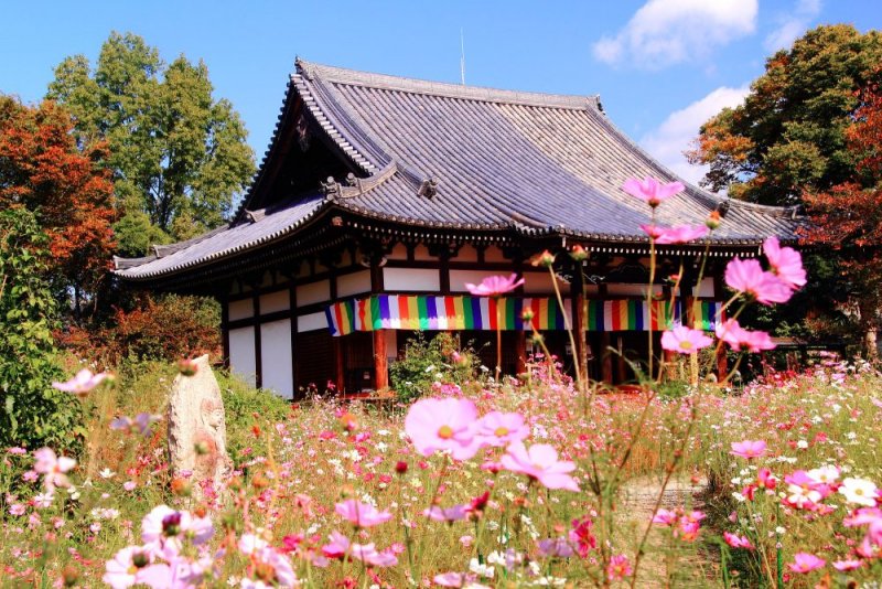 般若寺（奈良）（圖／FASTJAPAN提供）