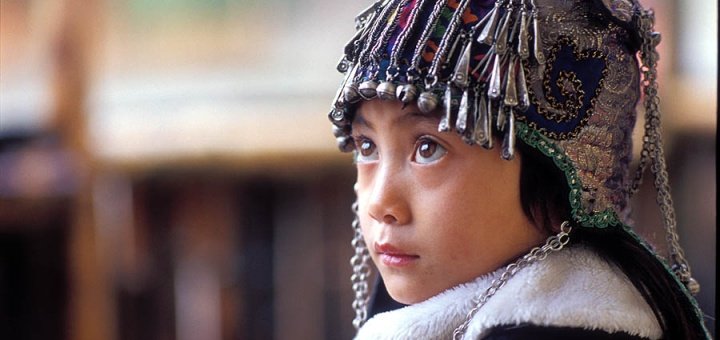 (圖/Jialiang Gao @ Wikimedia Commons,Mata Taiwan提供) (圖/Jialiang Gao @ Wikimedia Commons,Mata Taiwan提供)