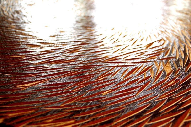 作者提供｜想想論壇提供