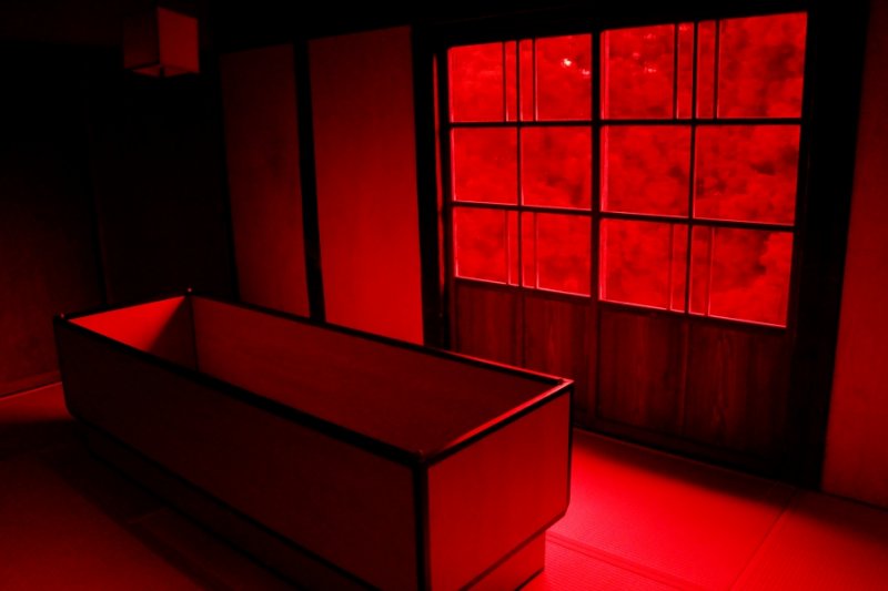 作者提供｜想想論壇提供