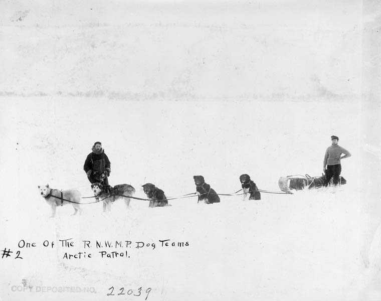 1909年育空地區，雪橇犬拉車。（BiblioArchives/LibraryArchives@Flickr）