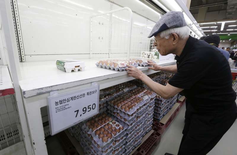 南韓的毒雞蛋風波不斷延燒,選購的民眾顯得小心翼翼。(美聯社) 南韓的毒雞蛋風波不斷延燒,選購的民眾顯得小心翼翼。(美聯社)