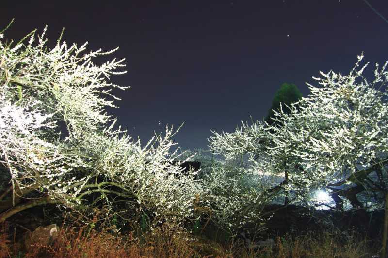 (圖/健行文化提供) (圖/健行文化提供)