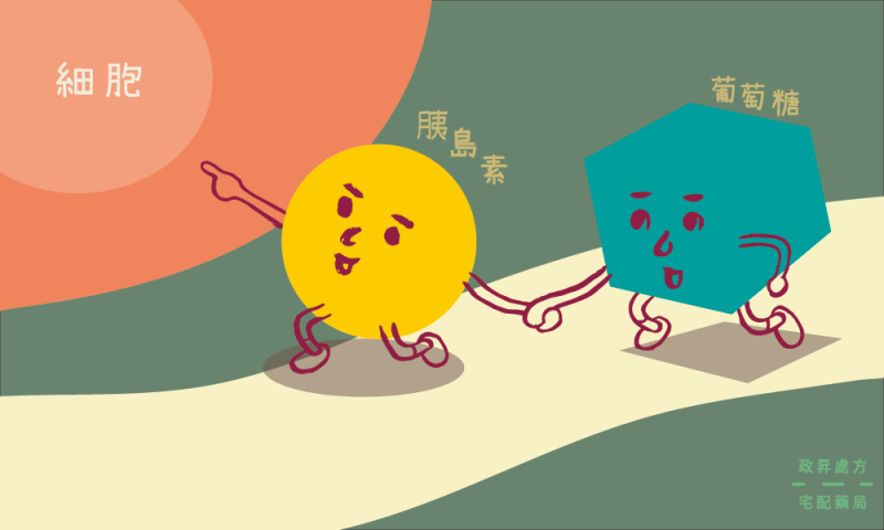 (圖/政昇處方宅配藥局iHealth提供) (圖/政昇處方宅配藥局iHealth提供)