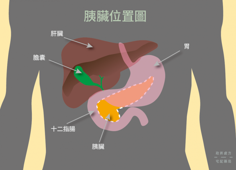 (圖/政昇處方宅配藥局iHealth提供) (圖/政昇處方宅配藥局iHealth提供)