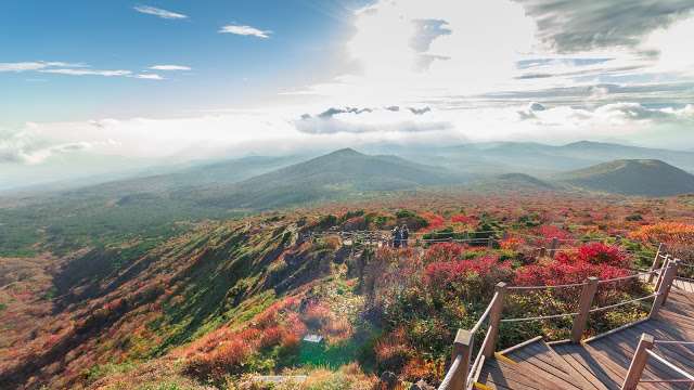 (圖/Shutterstock,KKDAY提供) (圖/Shutterstock,KKDAY提供)