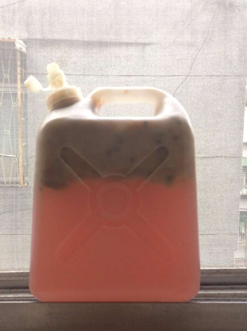 04香蕉酒不僅結果出人意料,釀造過程也匪夷所思,居然呈粉紅色。(寇延丁提供) 04香蕉酒不僅結果出人意料,釀造過程也匪夷所思,居然呈粉紅色。(寇延丁提供)