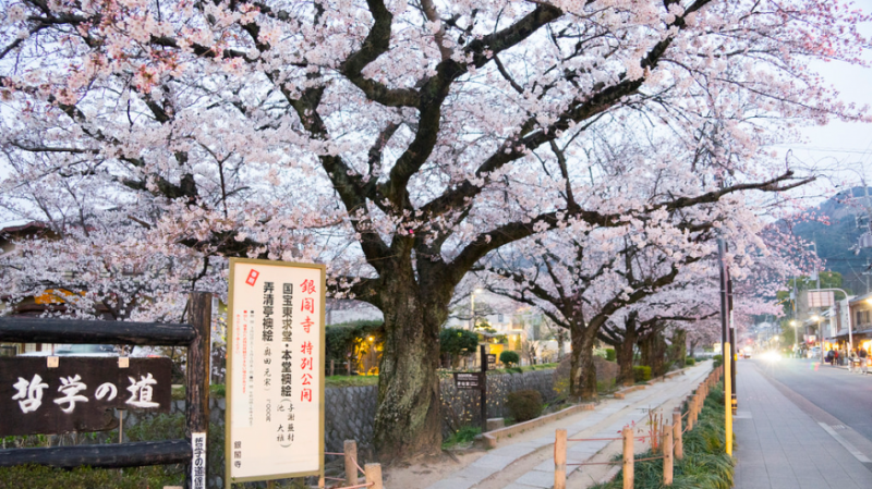 前往銀閣寺前,會先經過這條長2公里的哲學之道,是以前京都大學教授西田幾多郎都在這裡冥想而得此名。(圖/ Perry Li@Flickr,FunTime提供) 前往銀閣寺前,會先經過這條長2公里的哲學之道,是以前京都大學教授西田幾多郎都在這裡冥想而得此名。(圖/ Perry Li@Flickr,FunTime提供)