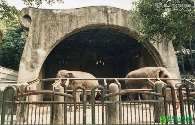 林旺馬蘭（圖／取自台北市立動物園官網）